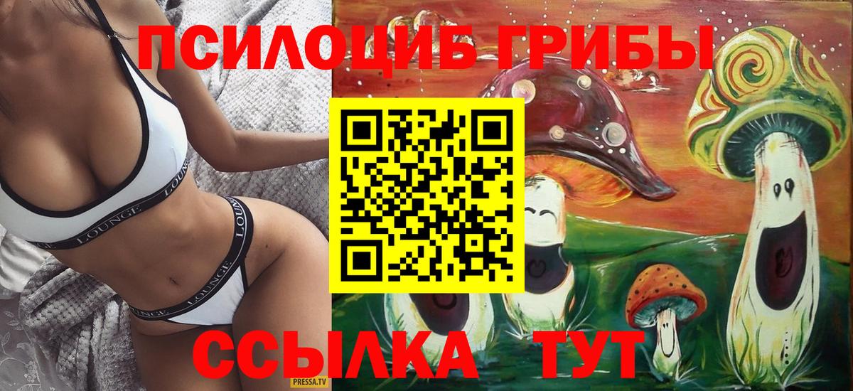 Псилоцибиновые грибы Cubensis Новозыбков